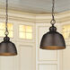Holmes 1 Light 9 inch Rubbed Bronze Mini Pendant Ceiling Light